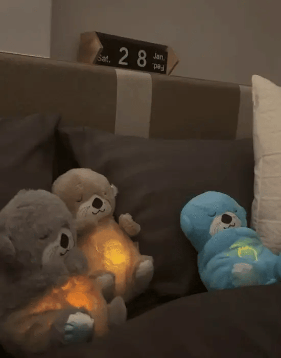 🧸NUTRÍA DORMILONA